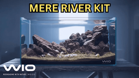 Create a Congo-Inspired Aquascape with the Mere River Kit