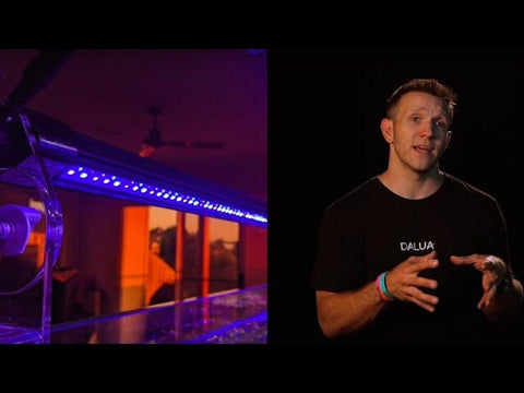 Illuminate Your Aquarium with Illumagic Vitamini Strip LED Lights – Premium Spectrums for Coral Growth and Aquascaping