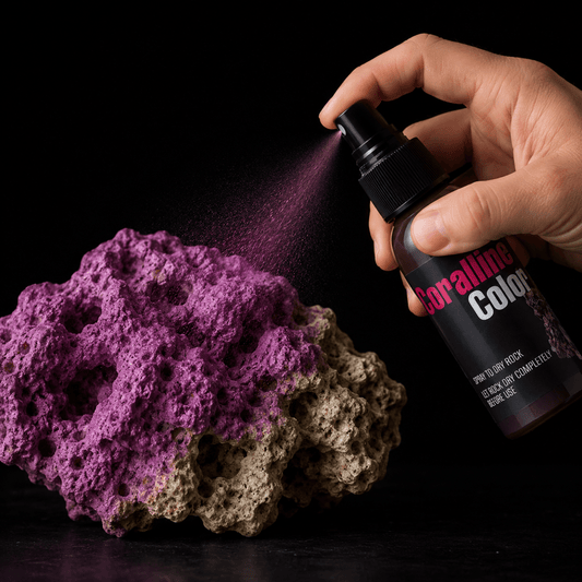 Marco Rocks Coralline Colorant DaluaAustralia