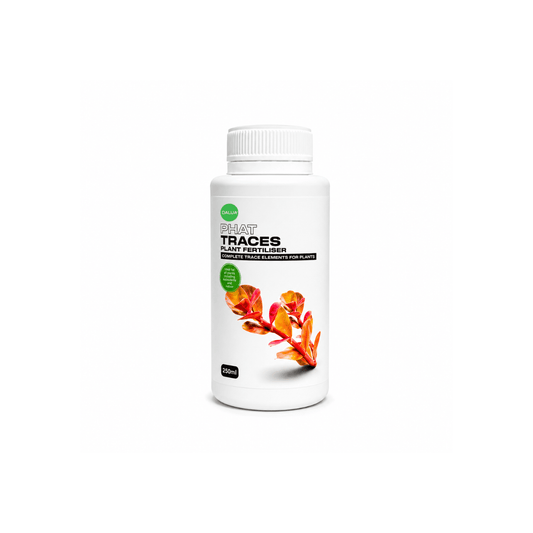 Phat Traces Top Up Fertiliser DaluaAustralia Phat Traces 250ml