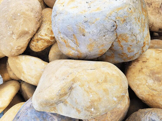 WIO - Bumblebee Boulder Mega Box Set 22kg Wood and Rock WIO