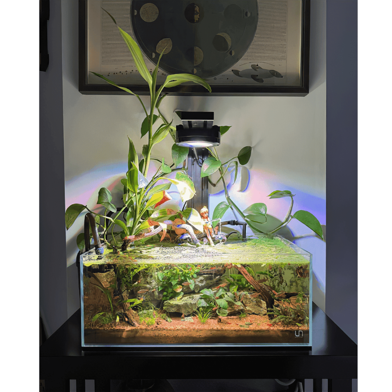 Pixel LED Bundle lighting bundle pack DALUA