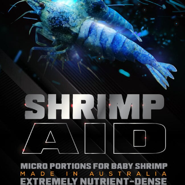 Shrimp 3 in 1 Starter by SAS shrimp food DaluaAustralia