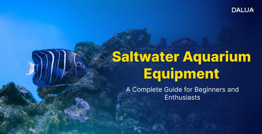 Saltwater Aquarium Equipment: A Complete Guide for Beginners and Enthusiasts