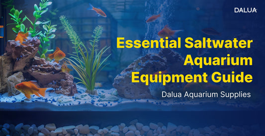 Saltwater Aquarium Equipment: Your Complete Setup Guide