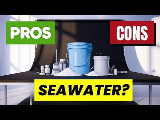 Reef Tank Supplies | Choosing Saltwater – Natural vs Artificial Seawater 🌊