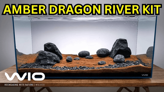 WIO Amber Dragon River Kit Unboxing & Aquascape