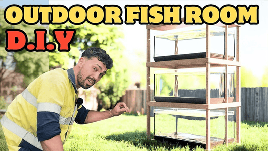 Build an Outdoor Fish Room DIY Guide