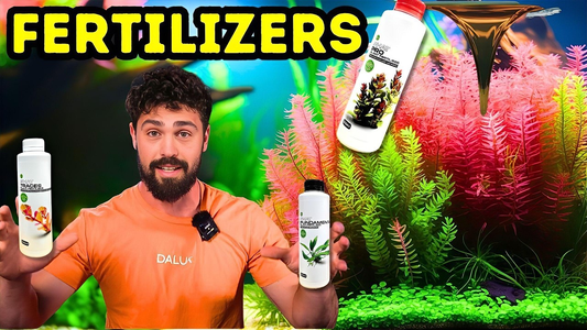 Aquarium Plant Fertilizer Guide: Fix Pale Leaves, Holes & Slow Growth Fast