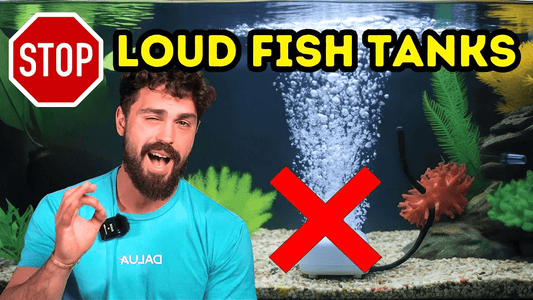Quiet Your Aquarium FAST: Proven Steps to Stop Tank Noise Immediately