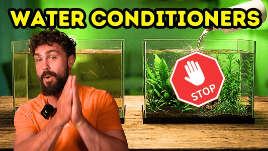 The Hidden Truth About Aquarium Water Conditioners — What Fishkeepers Get Wrong