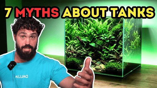7 Aquarium Myths That Are Quietly Ruining Your Fish Tank (Must‑Watch Breakdown)