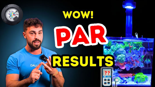 Pixel PAR Outperforms The Competition