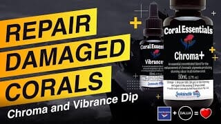 How to Treat Damaged Corals - Coral Essentials Chroma and Vibrance Bath Feat. Shane Danger and DALUA