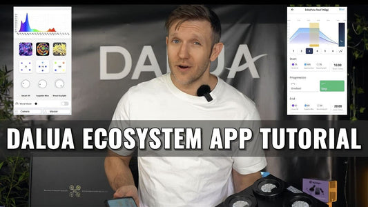 X4 DALUA Ecosystem App | Full Walkthrough Setup Guide