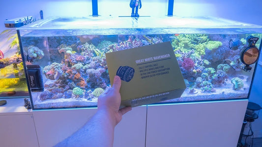 Great White Wave Maker by Dalua – Ultimate Flow for Your Reef Tank