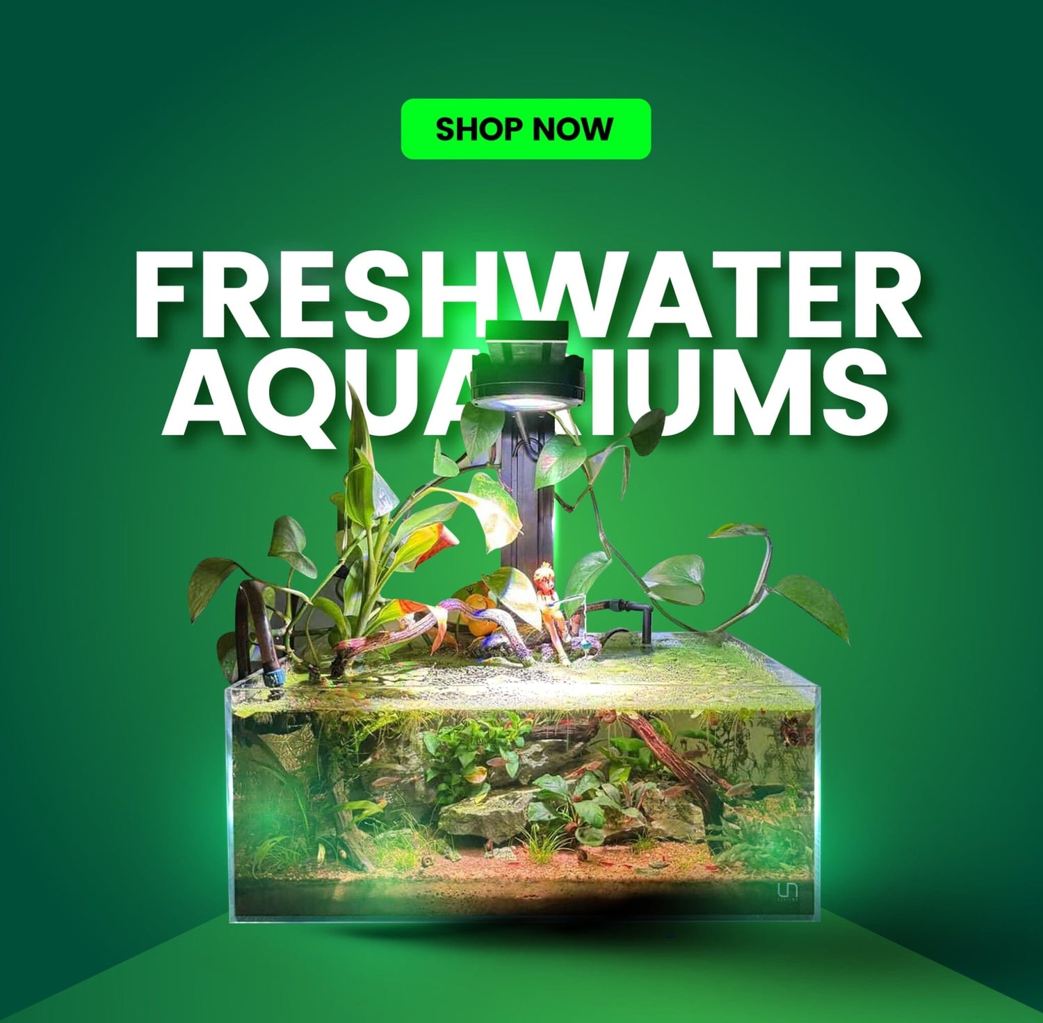 Aquascaping Best Sellers