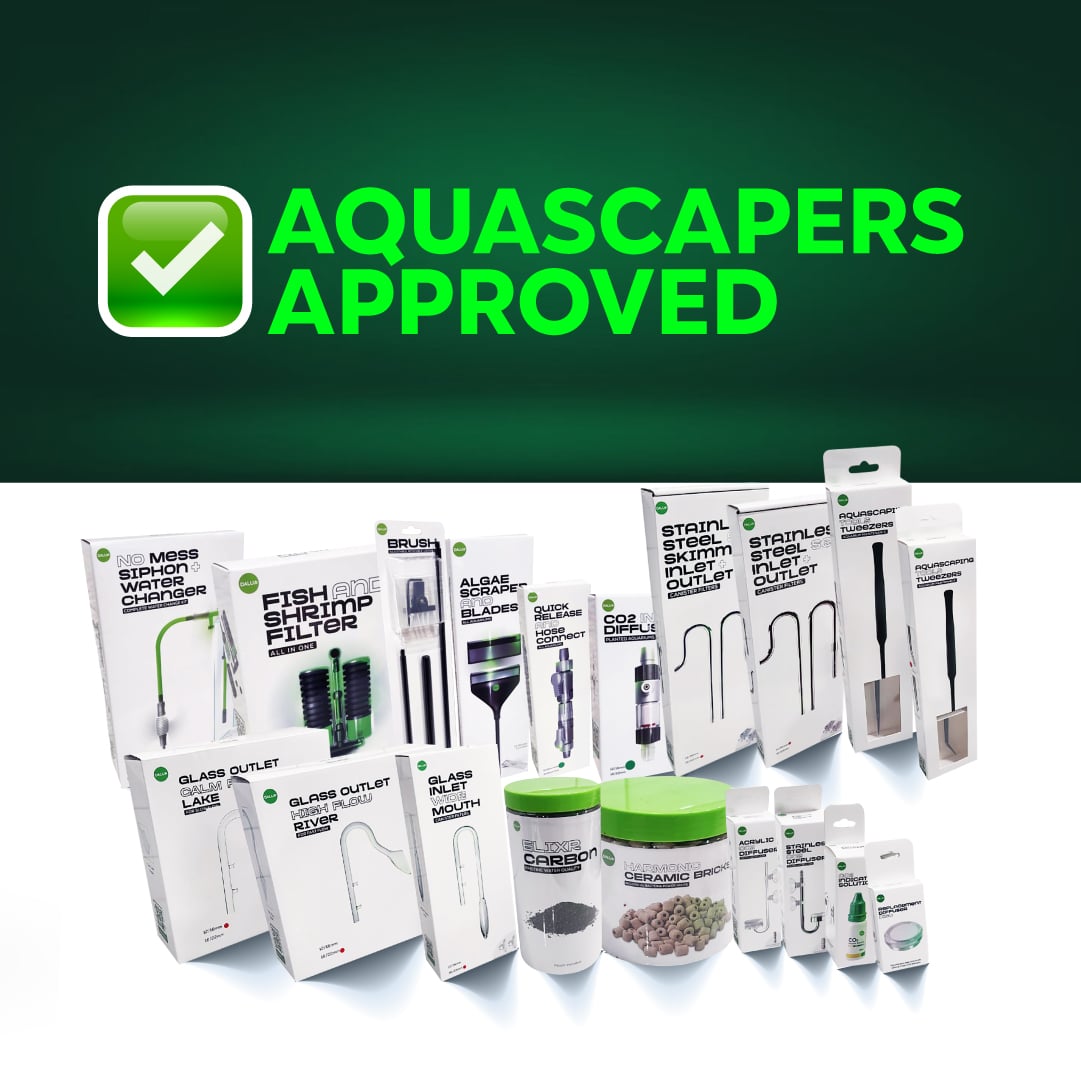 Algae Scraper + Blades