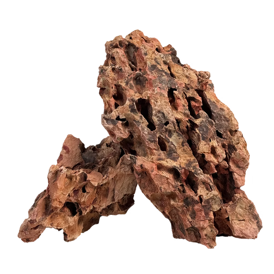 WIO - Hellboy Dragon Stone Wood and Rock WIO 