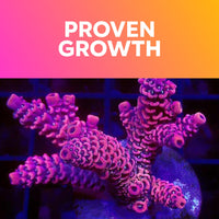 Product carousel image