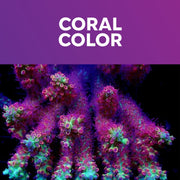 Coral Essentials Micro Elements