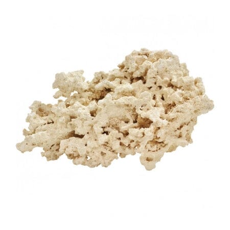 Marco Rocks DaluaAustralia 