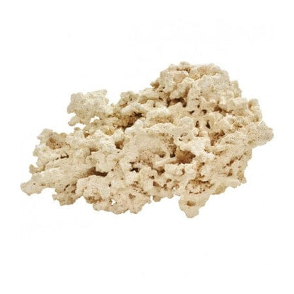 Marco Rocks DaluaAustralia 