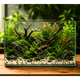 WIO - Black Allure Riverbed Soil and Substrate WIO
