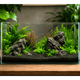 WIO - Black Eonian Florabed Soil and Substrate WIO 