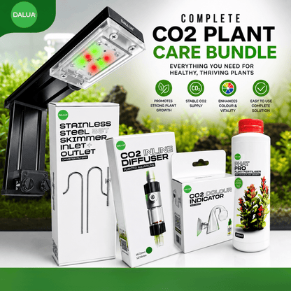 CO₂ Upgrade Kit – Complete Lighting, CO₂ & Flow Upgrade for Planted Tanks lighting bundle pack DALUA 