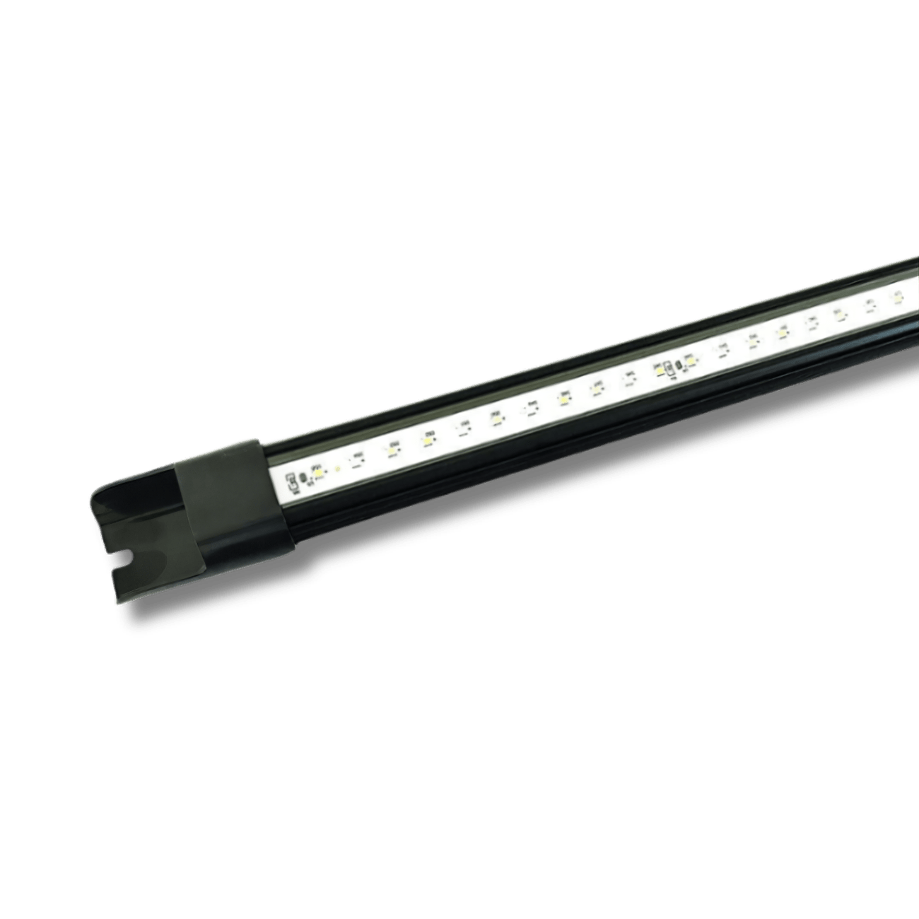 Vitamini Strips AQUARIUM LIGHTING DALUA Vita 60" Super Actinic 