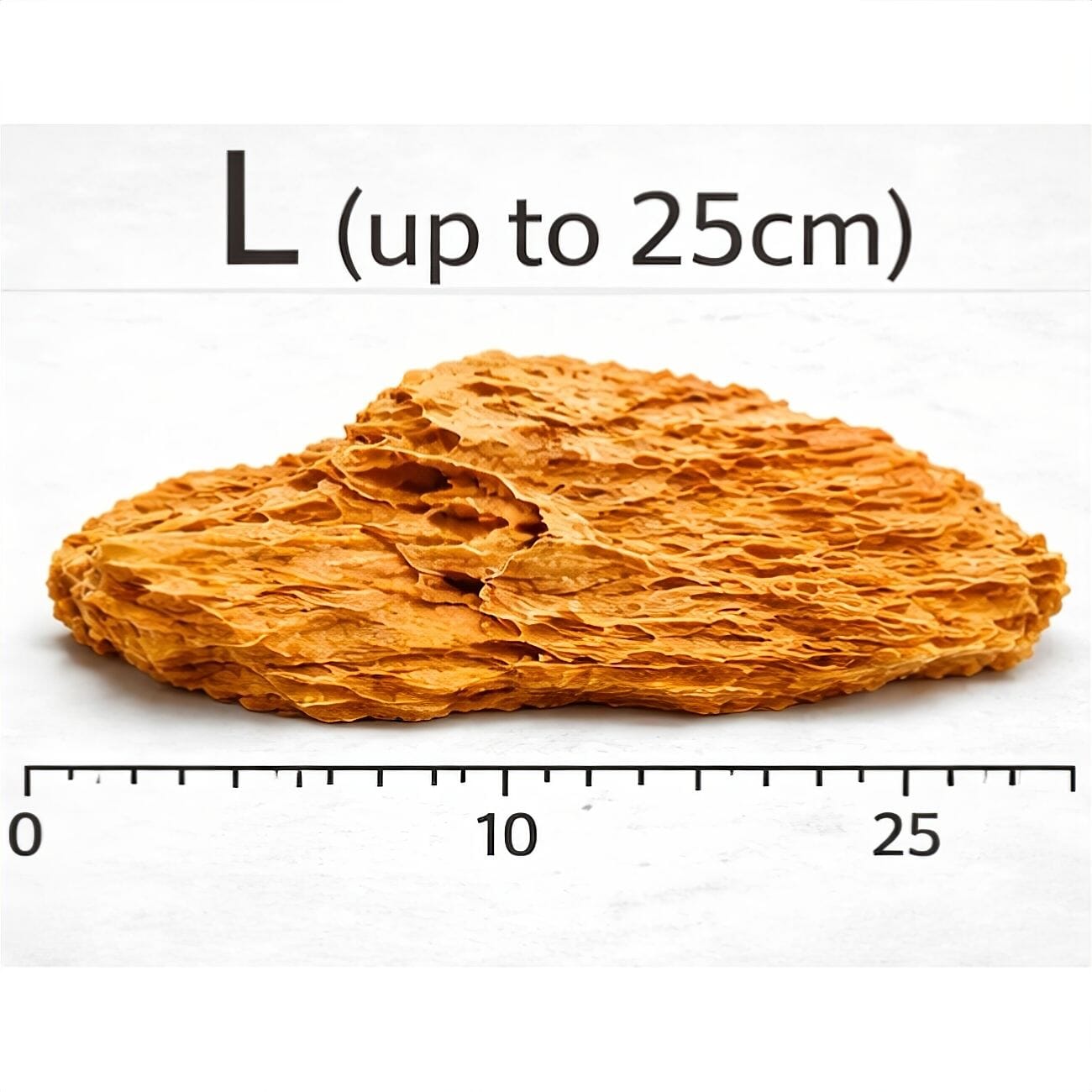 Dragon Stone (per Kg) Wood and Rock DaluaAustralia L - up to 25cm 