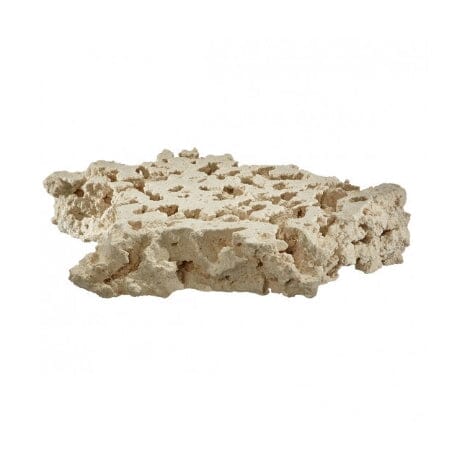 Marco Rocks DaluaAustralia 