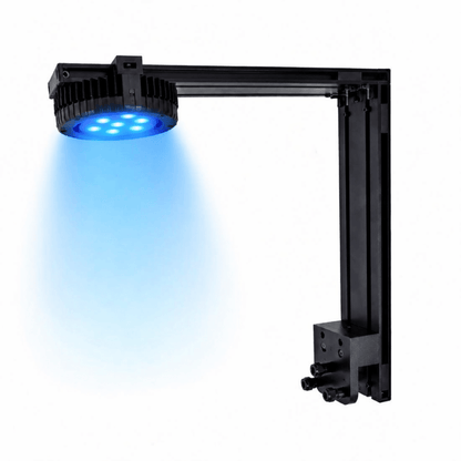 Pixel LED Bundles All Sizes lighting bundle pack DALUA Fragger Super Blues 1 Pixel 20g tanks (18") + Mounting Rear Mounts