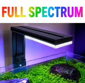 TINI WRGB Aquarium Light