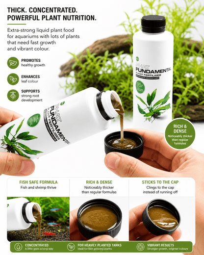CO₂ Essentials Upgrade Kit – Regulator, Diffuser & Free Fertiliser co2 regulator DaluaAustralia 