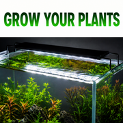 Fix Yellow Leaves. Save Your Dying Plants.