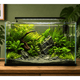 WIO - Jade Bliss Riverbed Soil and Substrate WIO