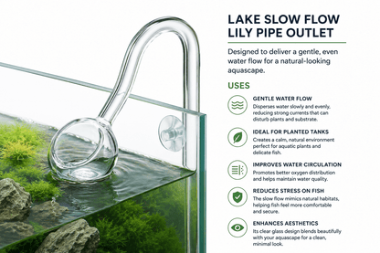 Lake Slow-Flow Outlet glass outlet lily pipes DaluaAustralia 