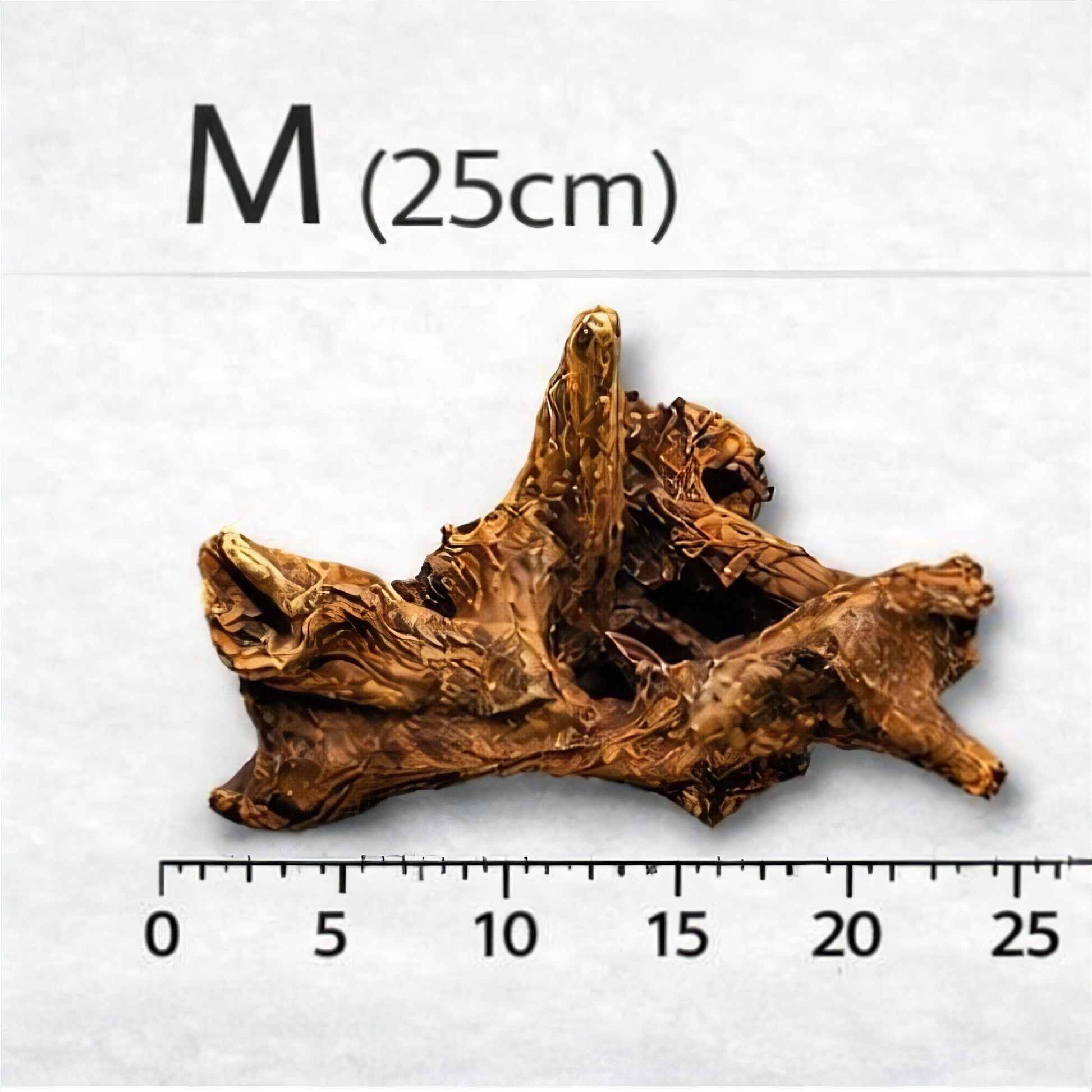 Driftwood River Series wood DaluaAustralia M - up to 30cm 