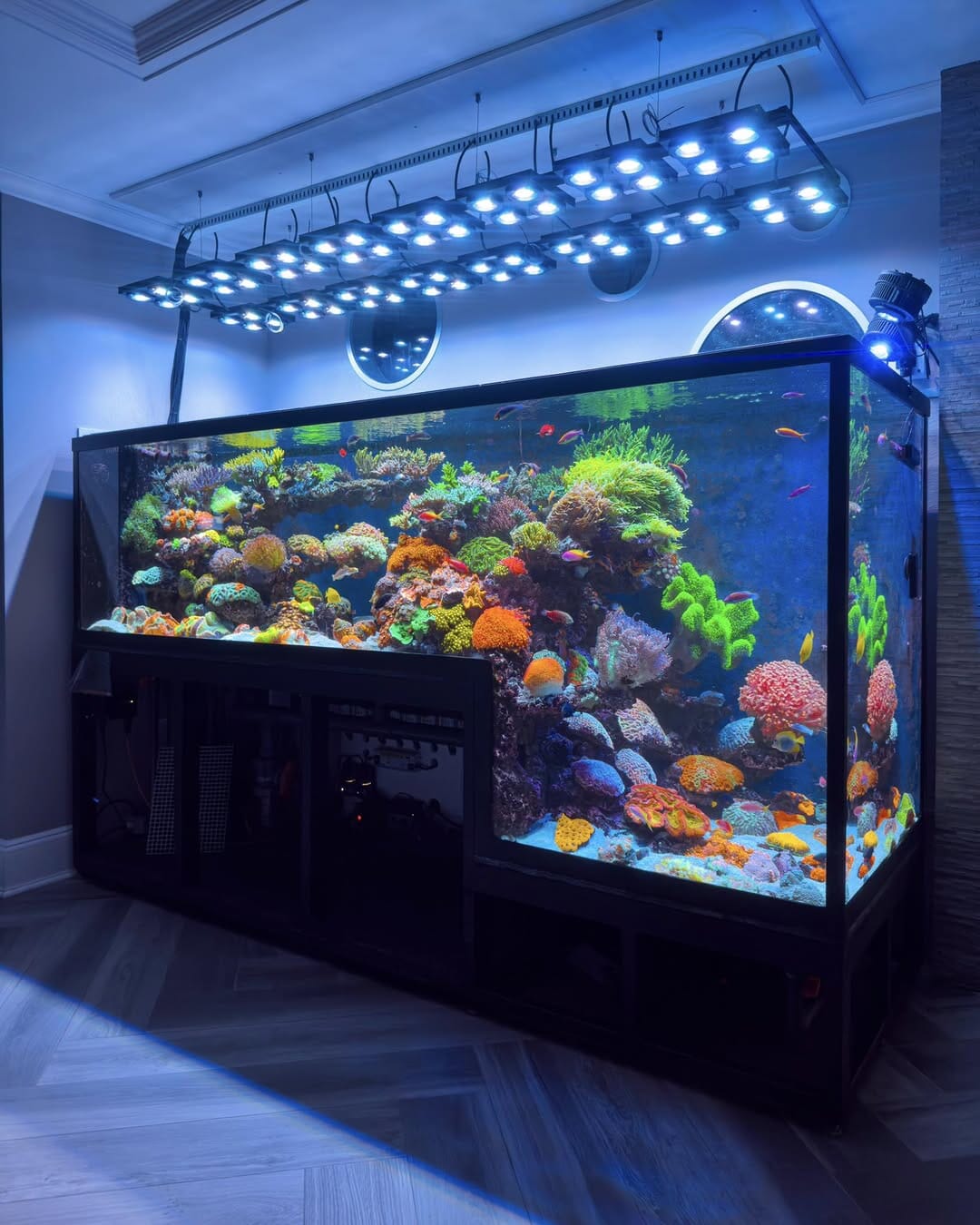 Illumagic X4 Limited Edition *Platinum White* LED LIGHTING DaluaAustralia 