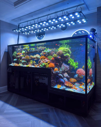 Ultimate Ecosystem Bundle – ILLUMAGIC X4, GREATE WHITE WAVE MAKER, RETURN PUMP, SKIMMER LED LIGHTING DaluaAustralia 