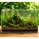 WIO - Red Dusk Riverbed Soil and Substrate WIO 