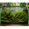 WIO - Sable Gravel Soil and Substrate WIO 