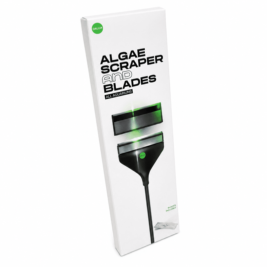 Algae Scraper + Blades scraper and blades DALUA 