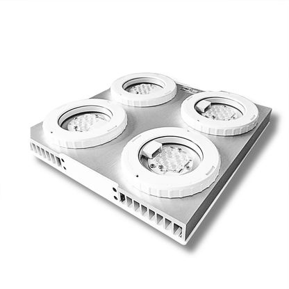 Illumagic X4 Limited Edition *Platinum White* LED LIGHTING DaluaAustralia 