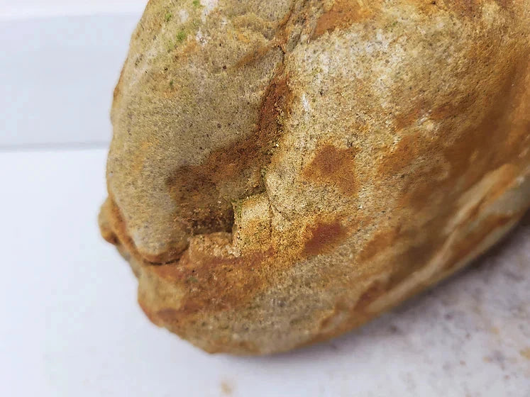 WIO - Bumblebee Boulder Mega Box Set 22kg Wood and Rock WIO 