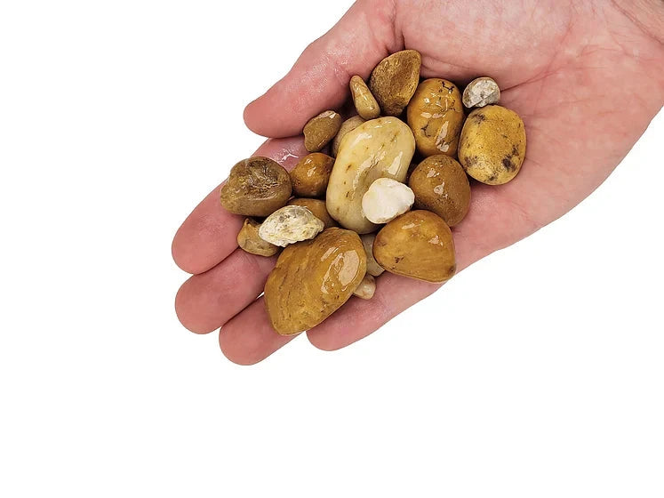 WIO - Bumblebee Gravel Mix - 2kg Soil and Substrate WIO 