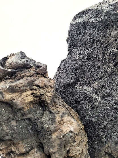 WIO - Darwin Black Lava Stone - Mega Box Set 22kg Wood and Rock WIO 