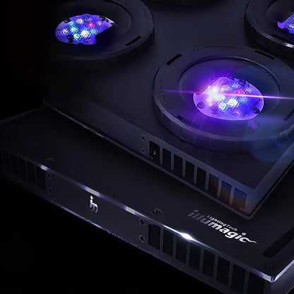 Illumagic X4 Limited Edition *Platinum White* LED LIGHTING DaluaAustralia 